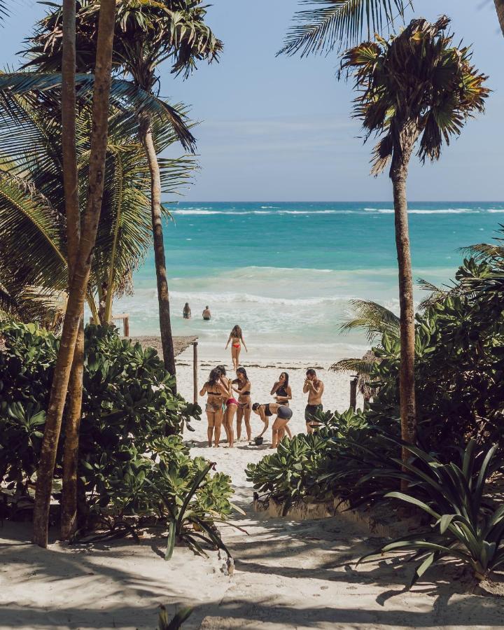 Nest Tulum 호텔 외부 사진