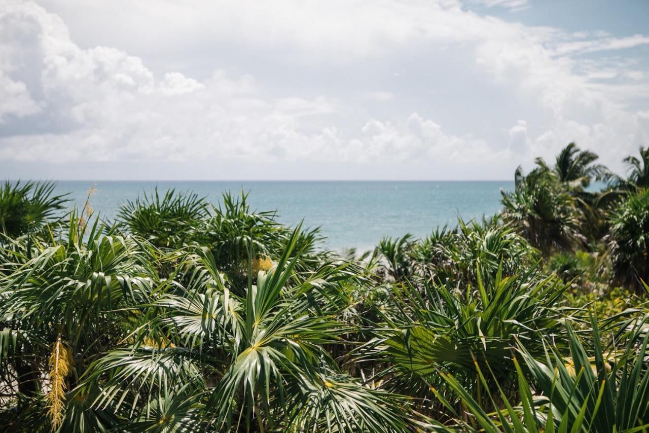 Nest Tulum 호텔 외부 사진